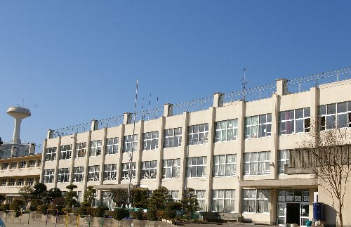 �e�l�`���b�s�[ �c�i����