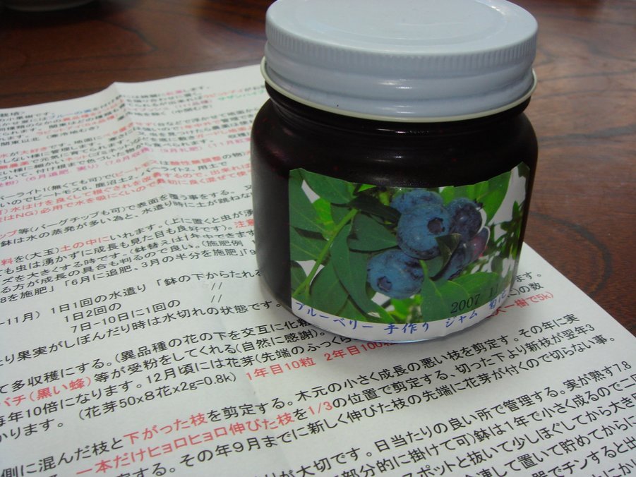 �e�l�`���b�s�[ �c�i����