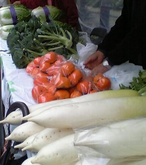 �e�l�`���b�s�[ �c�i����