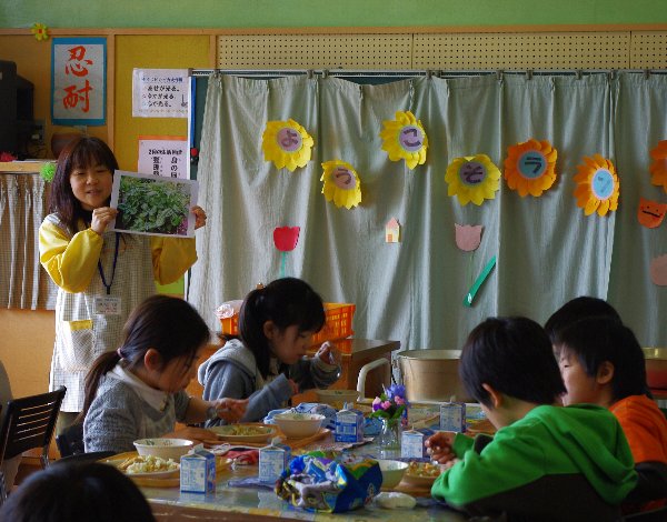 �e�l�`���b�s�[ �c�i����