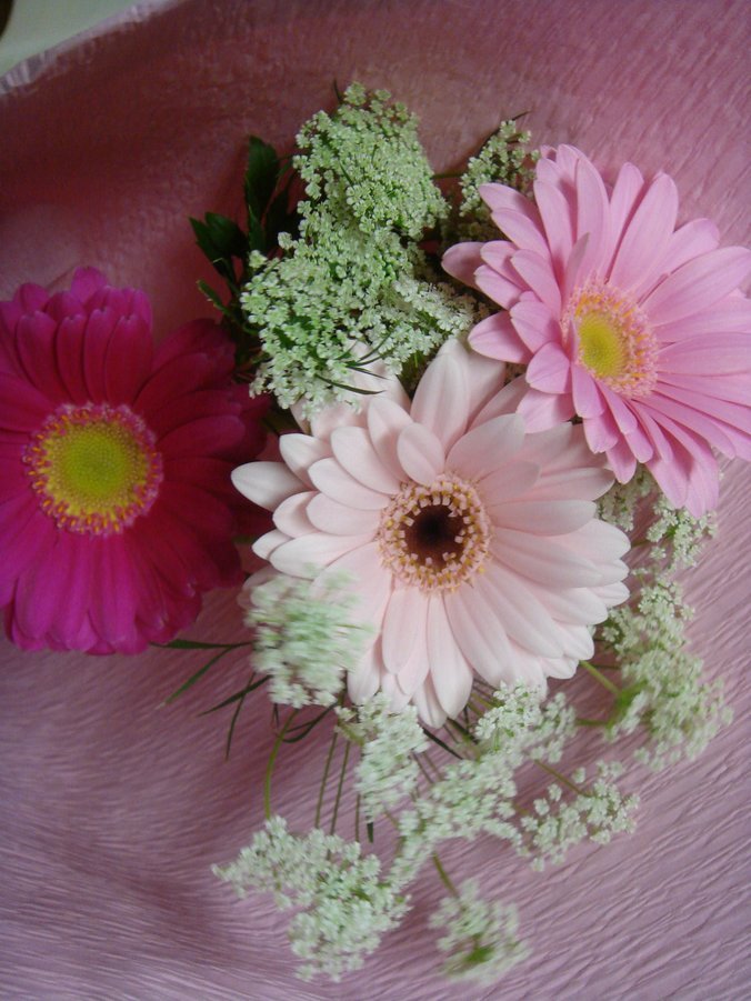 �e�l�`���b�s�[ �c�i����