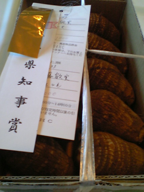 �e�l�`���b�s�[ �c�i����