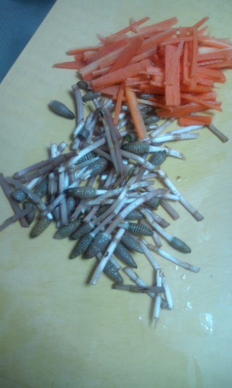 �e�l�`���b�s�[ �c�i����