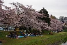 �e�l�`���b�s�[ �c�i����