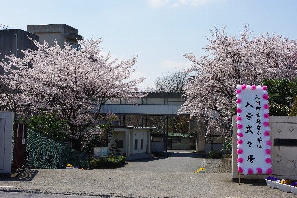 �e�l�`���b�s�[ �c�i����