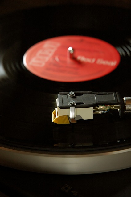 �e�l�`���b�s�[ �c�i����