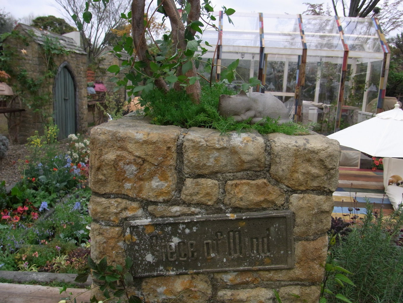 �e�l�`���b�s�[ �c�i����