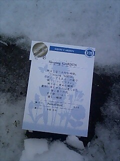 �e�l�`���b�s�[ �c�i����