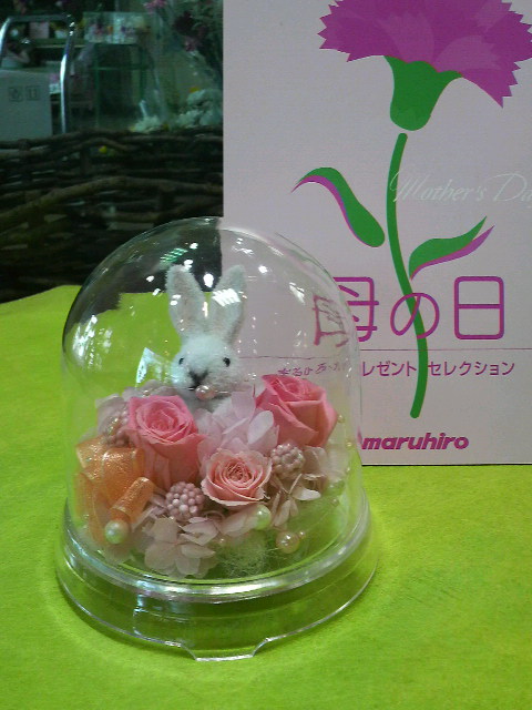 �e�l�`���b�s�[ �c�i����