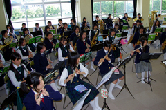 �e�l�`���b�s�[ �c�i����