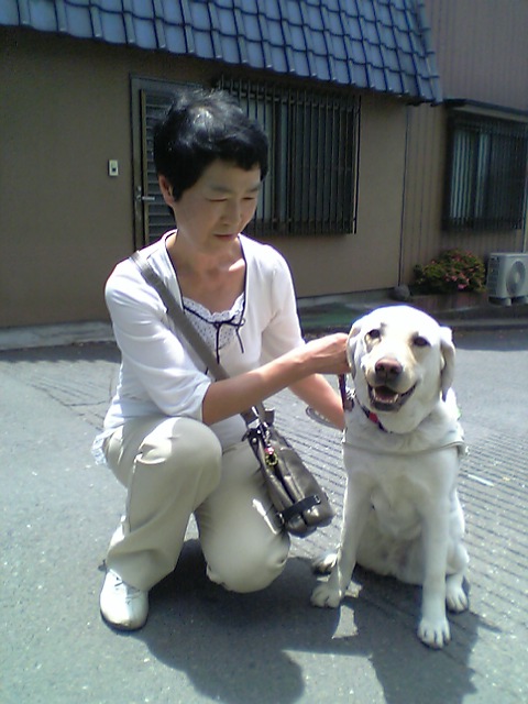 �e�l�`���b�s�[ �c�i����