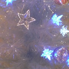 �e�l�`���b�s�[ �c�i����