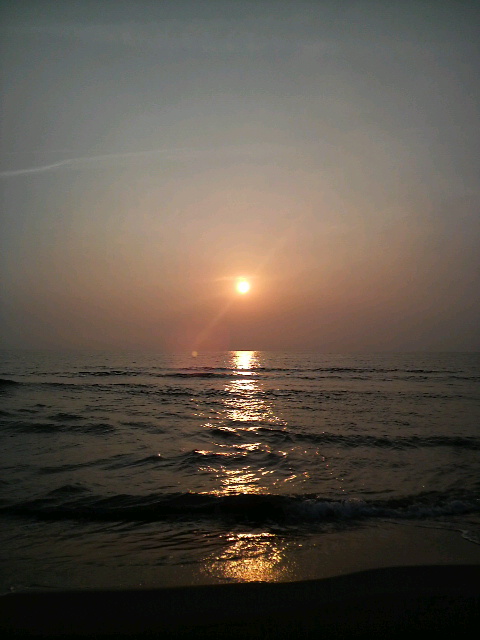 �e�l�`���b�s�[ �c�i����