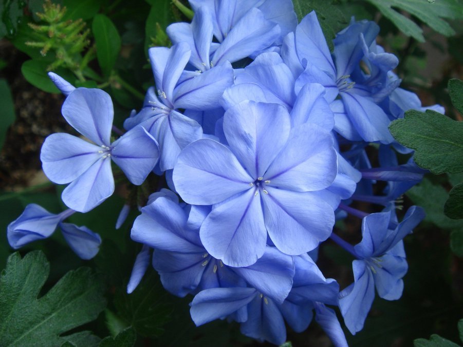 �e�l�`���b�s�[ �c�i����