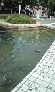 �e�l�`���b�s�[ �c�i����