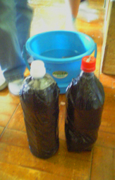 �e�l�`���b�s�[ �c�i����