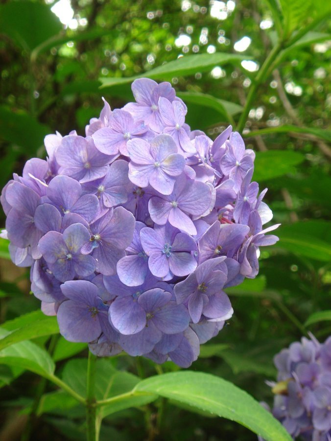 �e�l�`���b�s�[ �c�i����