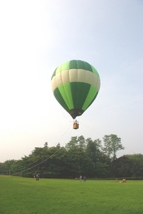 �e�l�`���b�s�[ �c�i����