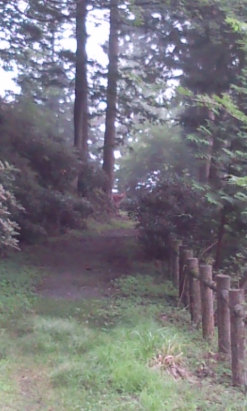 �e�l�`���b�s�[ �c�i����