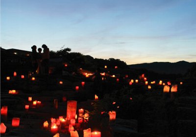 �e�l�`���b�s�[ �c�i����