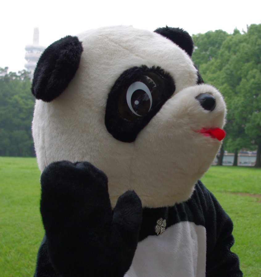 �e�l�`���b�s�[ �c�i����