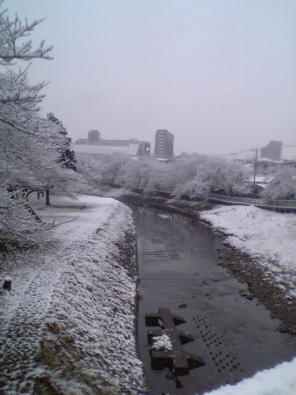 �e�l�`���b�s�[ �c�i����