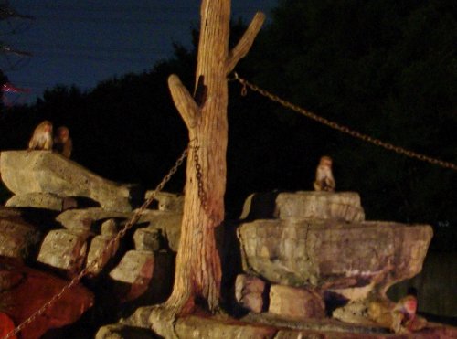 �e�l�`���b�s�[ �c�i����