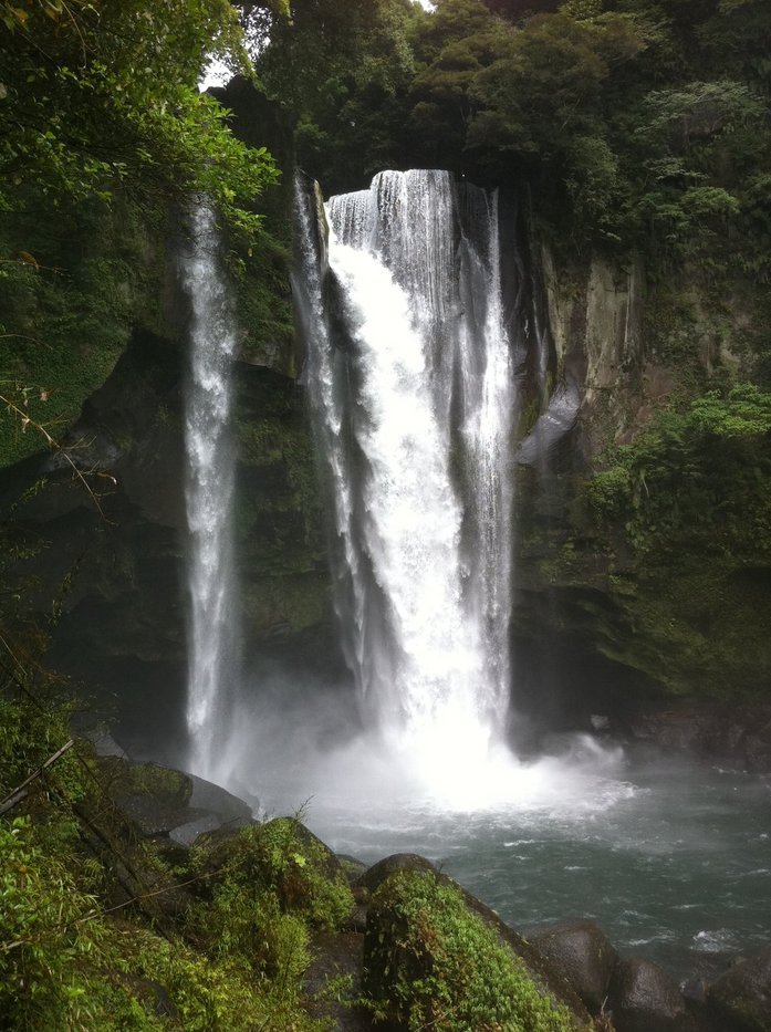 �e�l�`���b�s�[ �c�i����