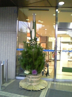 �e�l�`���b�s�[ �c�i����