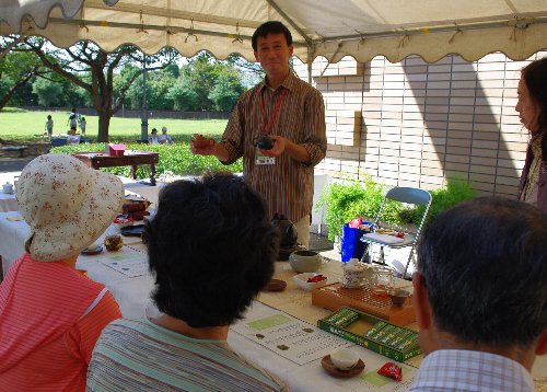 �e�l�`���b�s�[ �c�i����