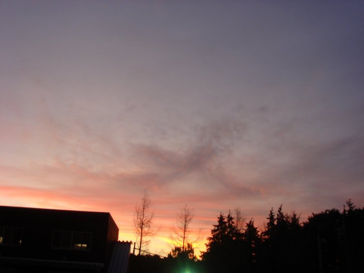 �e�l�`���b�s�[ �c�i����