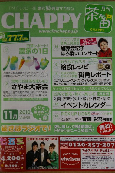 �e�l�`���b�s�[ �c�i����