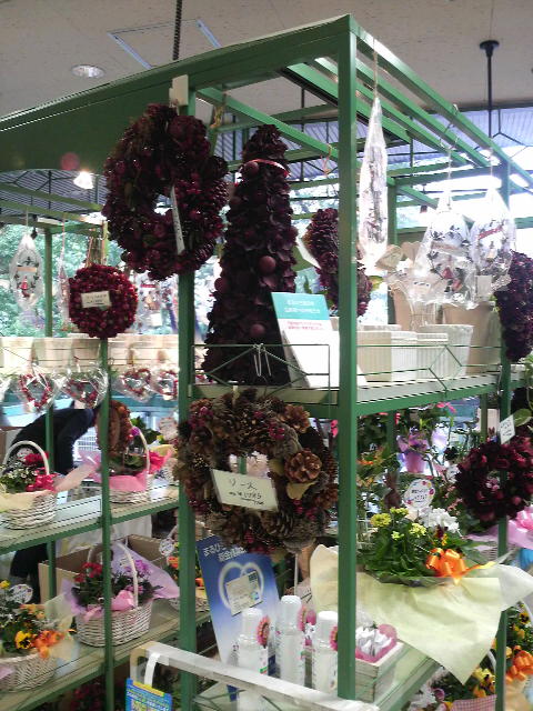 �e�l�`���b�s�[ �c�i����