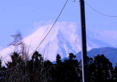 �e�l�`���b�s�[ �c�i����