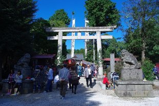 �e�l�`���b�s�[ �c�i����