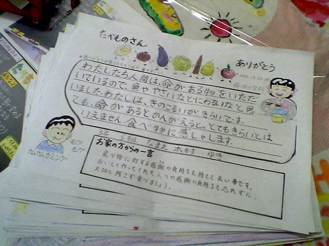 �e�l�`���b�s�[ �c�i����