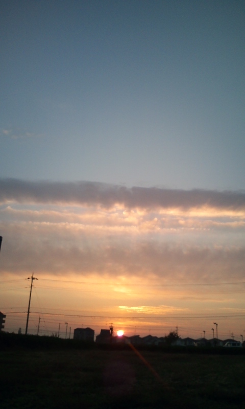 �e�l�`���b�s�[ �c�i����