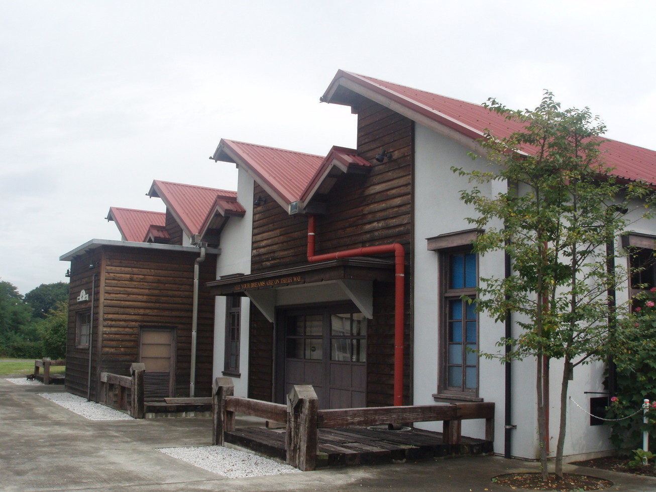 �e�l�`���b�s�[ �c�i����