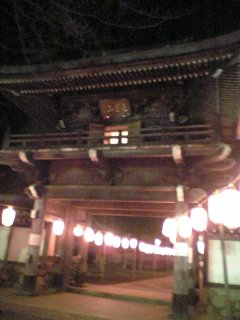 �e�l�`���b�s�[ �c�i����