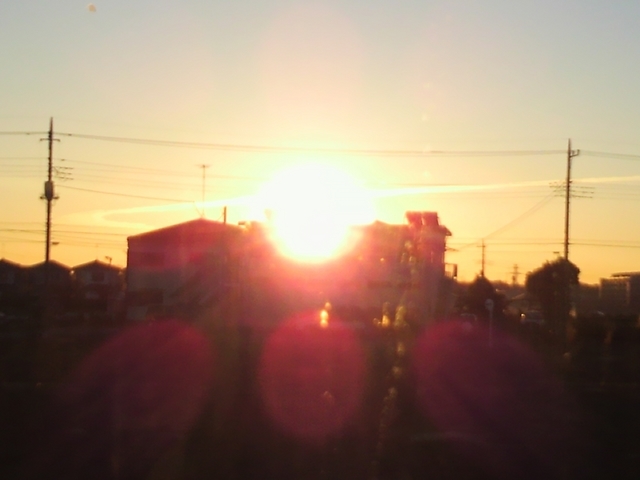 �e�l�`���b�s�[ �c�i����