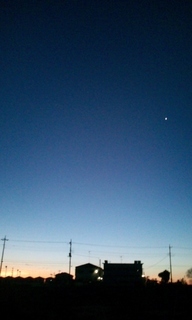 �e�l�`���b�s�[ �c�i����