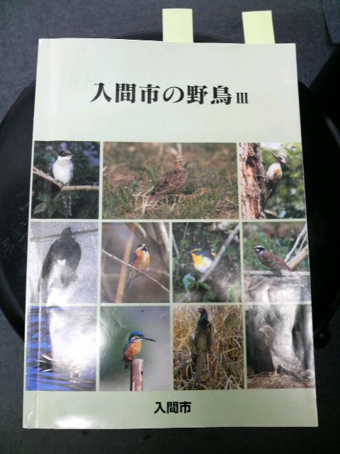 �e�l�`���b�s�[ �c�i����