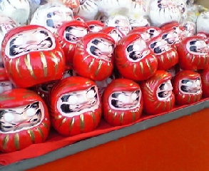 �e�l�`���b�s�[ �c�i����