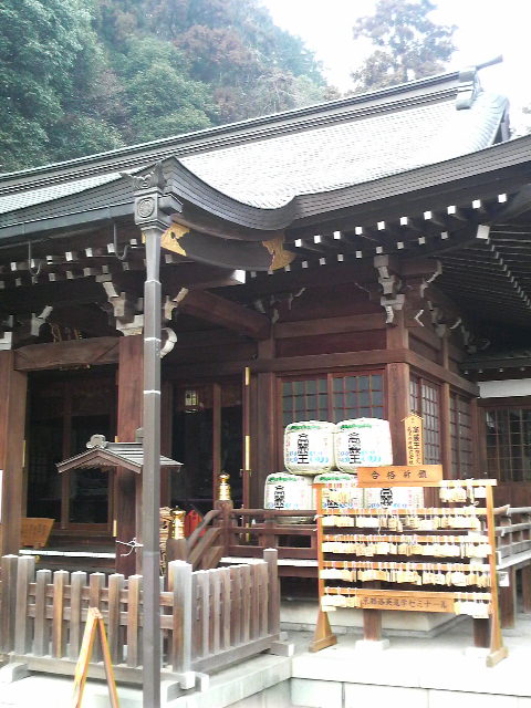 �e�l�`���b�s�[ �c�i����