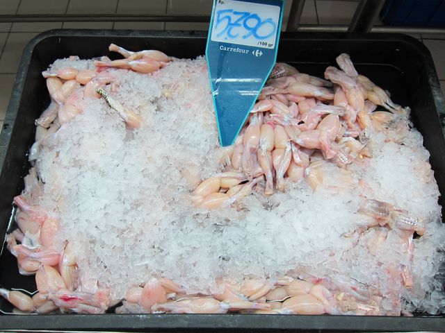 �e�l�`���b�s�[ �c�i����