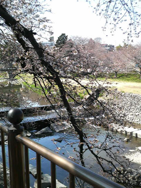 �e�l�`���b�s�[ �c�i����