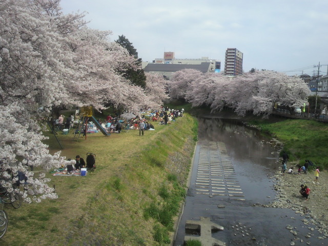 �e�l�`���b�s�[ �c�i����