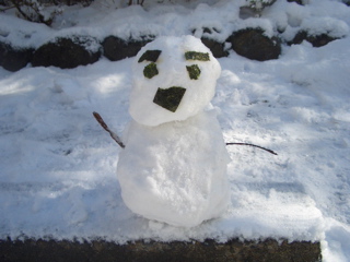 �e�l�`���b�s�[ �c�i����