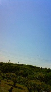 �e�l�`���b�s�[ �c�i����