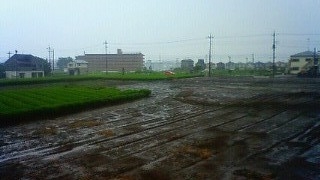 �e�l�`���b�s�[ �c�i����